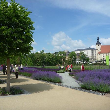 Hotel Am Park ไรเคนบาค อิม โวกท์ลันด์ ภายนอก รูปภาพ